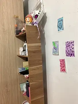 Snapshot of Vani_S2 chatting on February 2025 12:03:02 PM Vani S2 online show from February 2025 12:03:02 PM