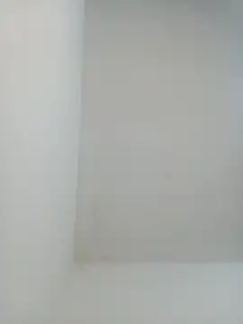 igor miller20 online show from February 2025 09:29:02 PM