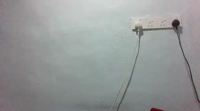 jerryzai online show from March 2025 05:11:01 AM