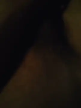EddiedLawn online show from May 2026 10:19:01 PM