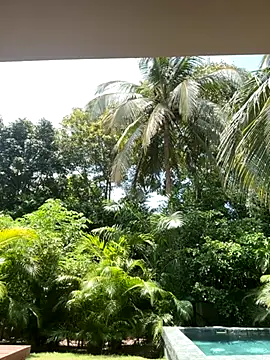 Snapshot of Olivia_Collins1 chatting on September 2025 04:52:02 PM Olivia Collins1 online show from September 2025 04:52:02 PM