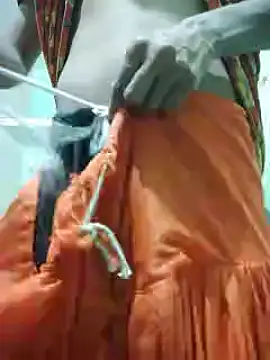 Snapshot of iaparna chatting on December 2024 02:07:01 PM iaparna online show from December 2024 02:07:01 PM