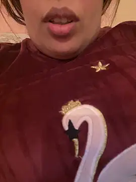 Samarr 9and online show from December 2024 11:10:02 AM