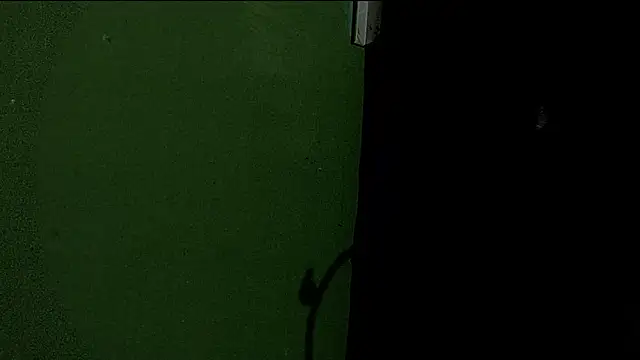 Deleon1995 online show from January 2025 04:52:02 AM