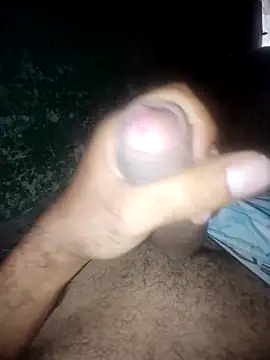 taylorWiiz online show from October 2025 09:11:01 PM