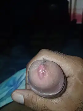 taylorWiiz online show from February 2026 03:15:02 PM