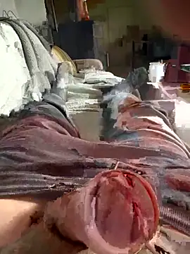 Andy-370 online show from September 2025 11:56:02 AM