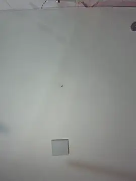 kiim taaylor online show from February 2026 11:31:02 AM