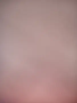 bustybillies online show from January 2026 09:35:01 AM