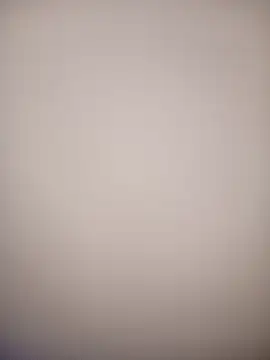 bustybillies online show from February 2026 12:23:01 PM