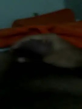 lm279 online show from January 2026 03:06:01 PM