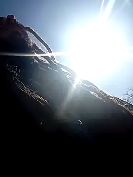 QcMisterv13 online show from March 2025 05:57:01 PM