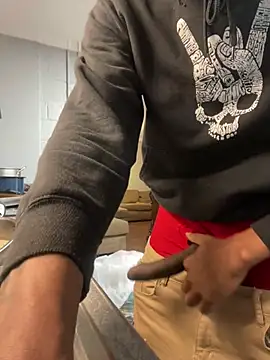 Snapshot of sneakylink13__ chatting on February 2025 04:52:02 AM sneakylink13   online show from February 2025 04:52:02 AM