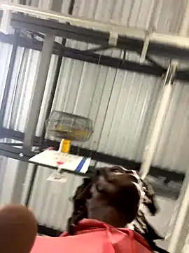 Snapshot of sneakylink13__ chatting on October 2025 01:17:01 AM sneakylink13   online show from October 2025 01:17:01 AM