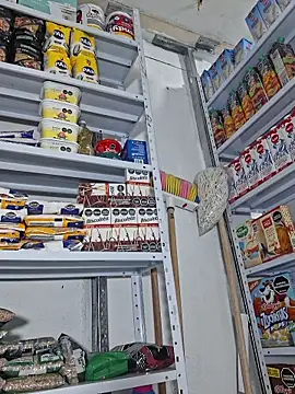 Katia sweetx online show from April 2026 01:38:02 PM