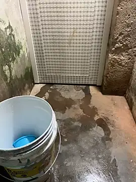 SnapIDRakesh4 online show from March 2025 04:09:02 PM