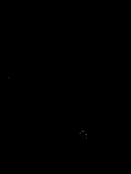 cindy damm online show from April 2026 12:24:02 AM