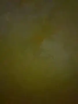 HeviZ online show from January 2025 08:21:02 PM