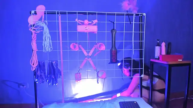 vanelope11 online show from February 2025 07:35:01 PM