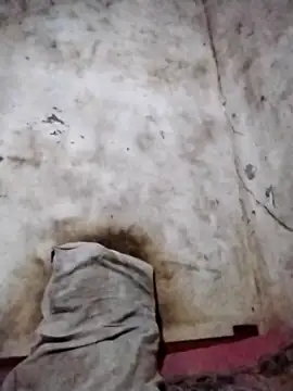 Leonelzain online show from March 2026 05:53:01 PM