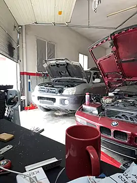 donnuozfutura online show from February 2025 12:44:02 PM