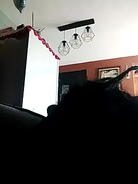 Bola453 online show from March 2026 04:58:02 PM