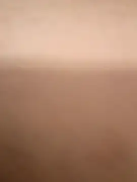 rayaarmando423736 online show from November 2025 12:49:01 PM