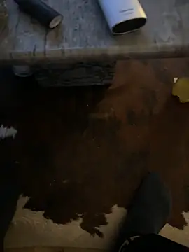 Tyson8897 online show from January 2026 07:55:01 AM