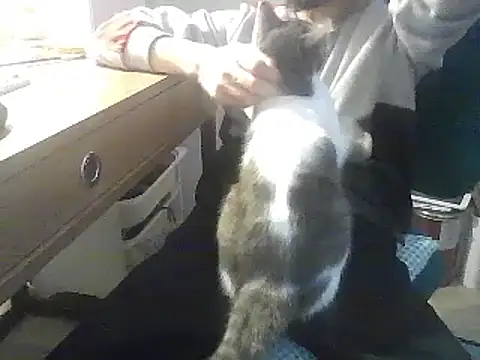 Snapshot of kallaviz chatting on January 2026 07:16:01 PM kallaviz online show from January 2026 07:16:01 PM