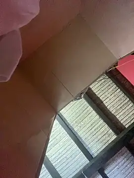 Dalton oficial online show from February 2026 01:45:01 AM