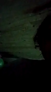 bonnnieandclydee online show from March 2025 02:09:02 AM