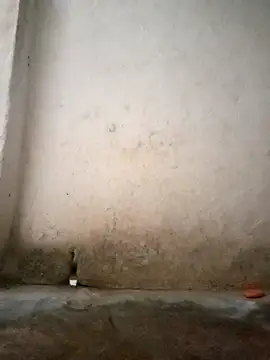 Hotty-queen online show from October 2025 02:11:02 AM