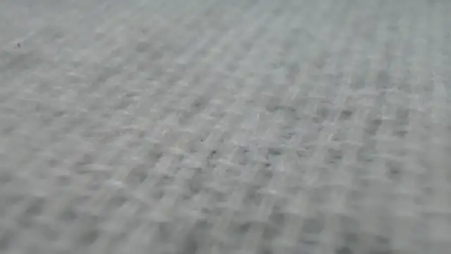  Zooee online show from January 2025 04:22:01 PM