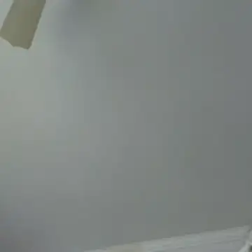 vanscr1 online show from February 2026 01:38:02 PM