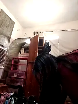 SINUECASTILLO online show from December 2024 07:41:01 AM