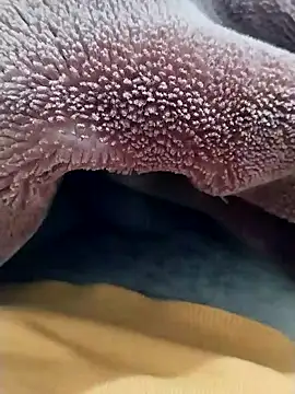 Sumitlive24MBD online show from December 2024 11:27:02 PM