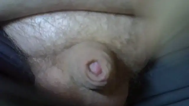 Snapshot of serbes_ur chatting on November 2025 01:24:01 PM serbes ur online show from November 2025 01:24:01 PM