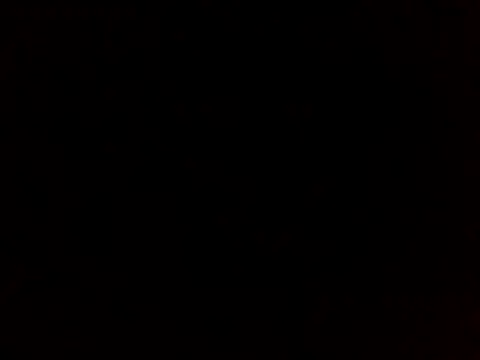 sammymoon online show from December 2024 01:11:02 PM