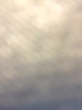 Cheinneyia online show from October 2025 01:34:01 PM