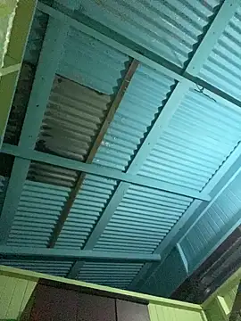 islandvybee55 online show from January 2026 09:14:02 AM