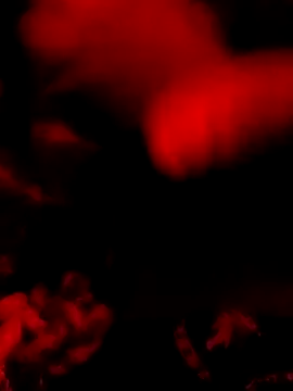 DaniSexFlow online show from March 2026 08:04:01 AM