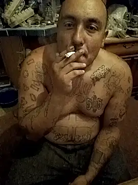 wilsons12 online show from November 2025 05:29:02 AM