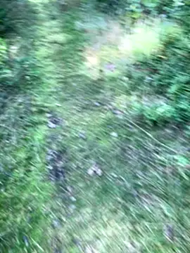 Snapshot of Zbochunec chatting on September 2025 11:43:01 AM Zbochunec online show from September 2025 11:43:01 AM