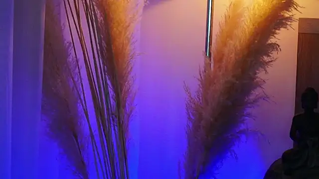 Snapshot of AliceShazaham_ chatting on September 2025 07:08:01 AM AliceShazaham  online show from September 2025 07:08:01 AM