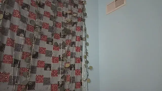 Snapshot of AddieAssets chatting on February 2025 04:46:02 AM AddieAssets online show from February 2025 04:46:02 AM