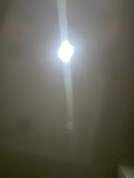 pawmistry online show from March 2026 03:57:02 AM