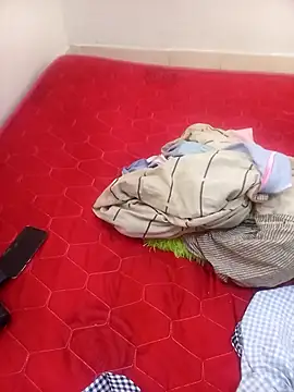 BriannaVincent online show from November 2025 04:02:02 AM