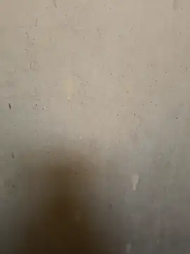 loveme99004 online show from February 2026 02:29:01 AM