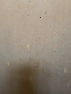 loveme99004 online show from March 2026 08:59:02 AM