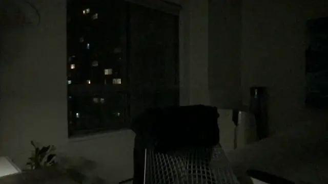 Snapshot of Gingerbushguy chatting on December 2024 09:39:01 AM Gingerbushguy online show from December 2024 09:39:01 AM